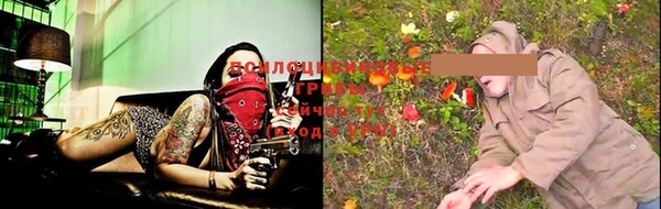 амф Вязьма