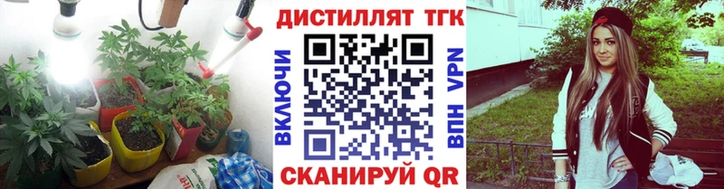 ТГК вейп  Купить закладки  Стародуб 