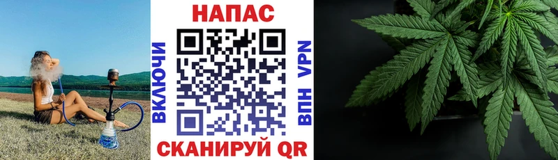 Купить  Стародуб  Бошки Шишки гибрид 